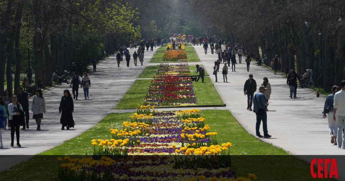 Реални части от имоти – държавна собственост, са приобщени към