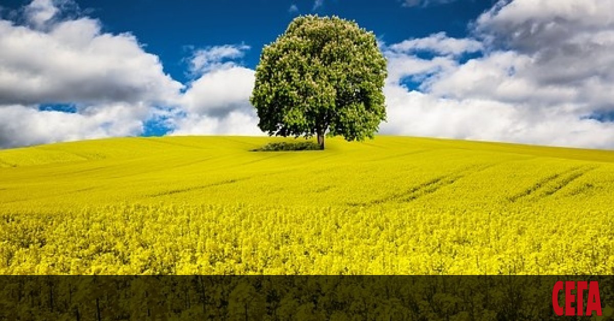 Един от най-големите товарни кораби в света за първи път