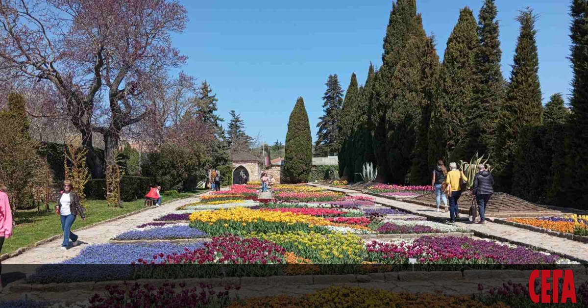 - Искаме да видим цветята.- Не може, трябва ви друг