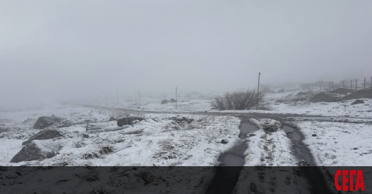 Сняг заваля на Витоша днес. Истинска зима е сега във