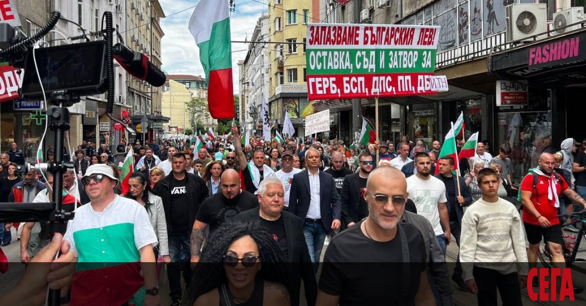 На протеста срещу еврото на 4 юни, когато България получи