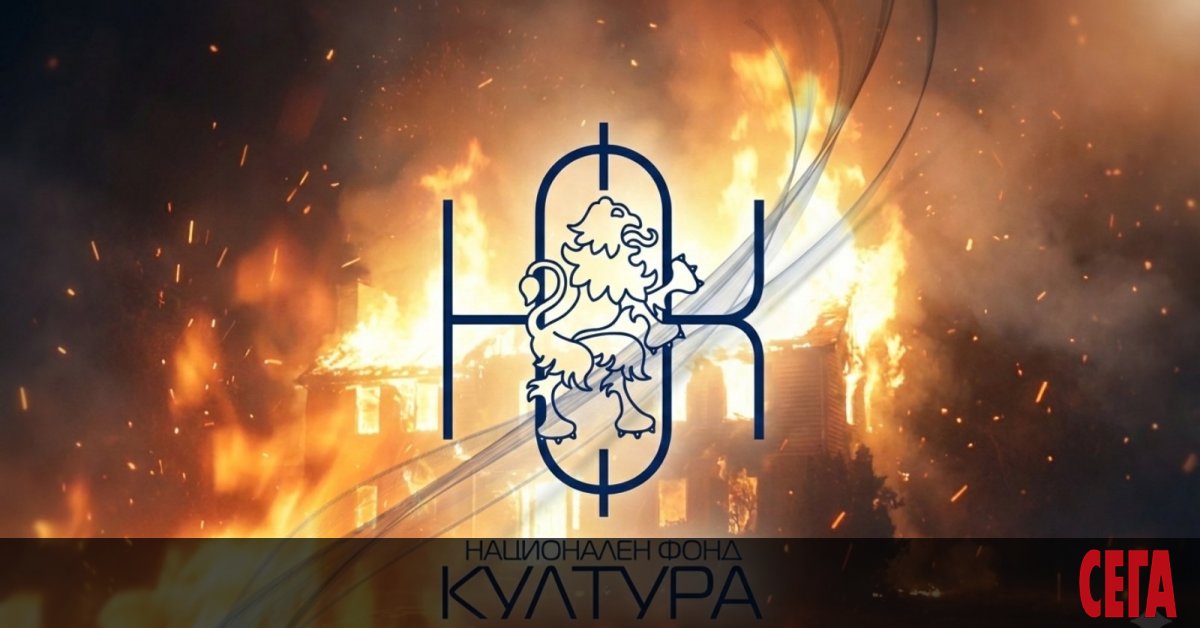 Culture Fund Awards Millions for Mentee Appreciation Recognition