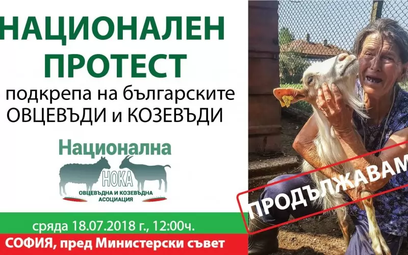 С този плакат асоциацията на българските овцевъди и козевъди призовава за подкрепа на фермерския протест. На него се вижда баба Дора от с. Шарково, която обясни, че е молила на колене министър Порожанов да пощади животните, но нищо не помогнало. Жената стана символ на протестите.