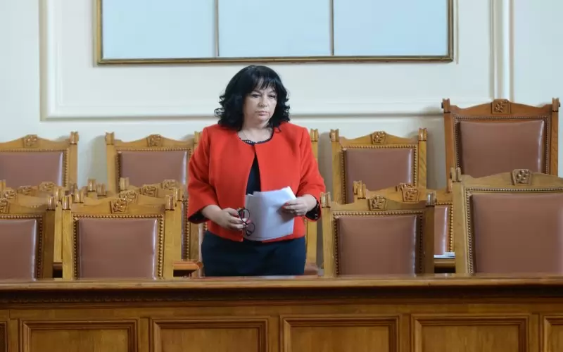 Според енергийния министър Теменужка Петкова частната ТЕЦ "Варна", собственост на Ахмед Доган, е получила 27 млн. лв. за поддръжката на студения резерв, защото държваната ТЕЦ "Марица-изток 2" се затруднявала едновременно да осигури ток за потреблението и да поддържа резерва.