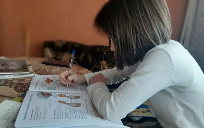 Т.г. се очаква и зрелостниците, поставени под карантина, да имат право да се явят на матура в отделни класни стаи