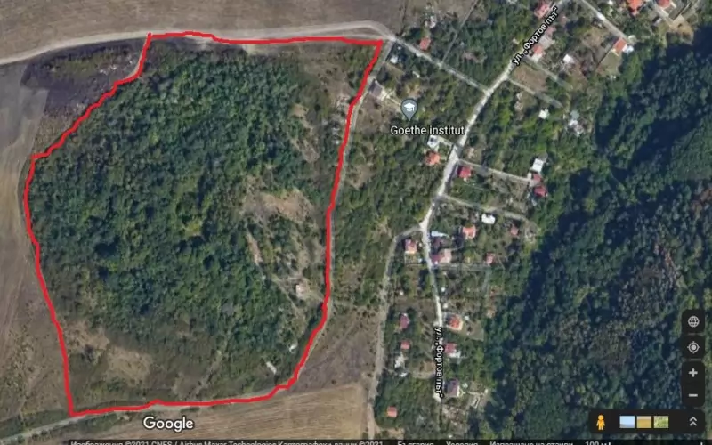 Гората да бъде приобщена към границите на Западен парк, предлагат Тома Белев и Марта Георгиева. 