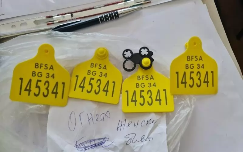  Част от откритите при претърсванията ушни марки.