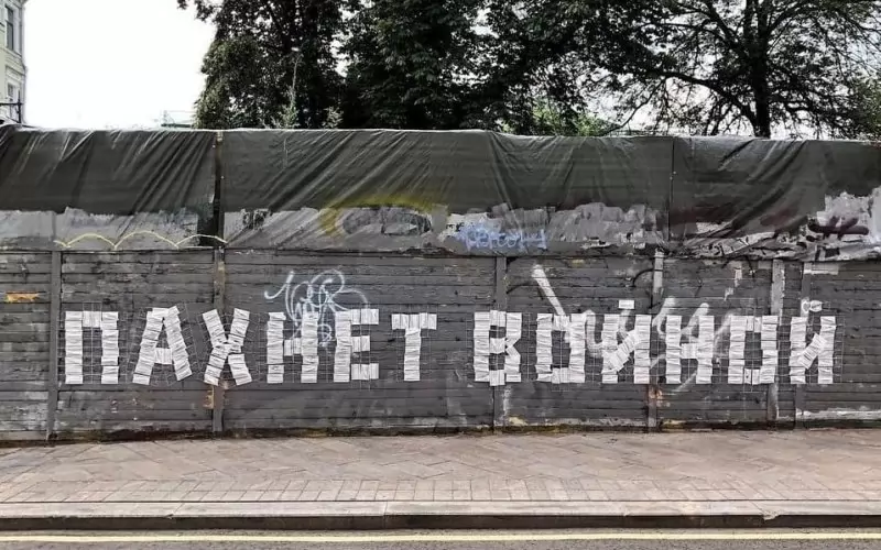 Част от творбите на Zoom.