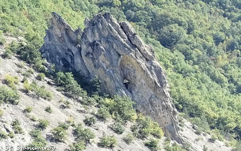 В Сладкодум има красоти, хора - не