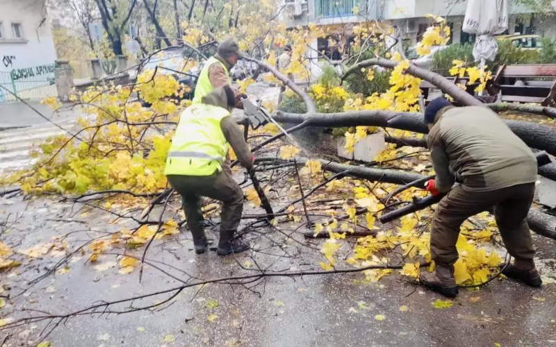 Варна, общо взето, се справи с последиците от урагана.