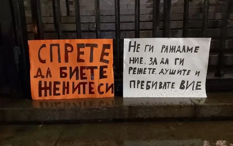 Няколко драстични случая на насилие над жени предизвикаха протести в цялата страна миналата година.