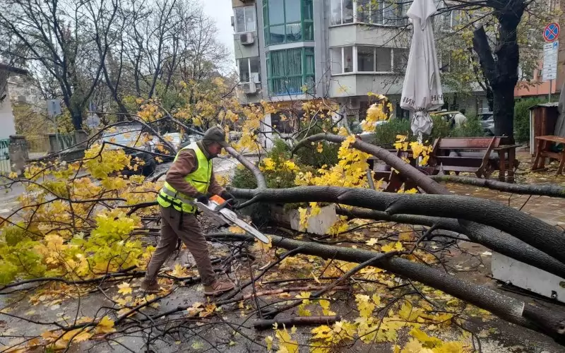 Варна отстраняваше около седмица щетите от урагана.