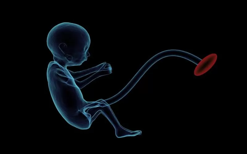 Методът е фокусиран върху създаване на ембриони с гени на двама мъже