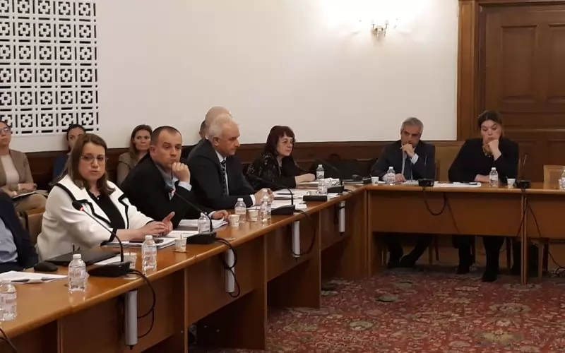 Докато Деница Златева (вляво) говореше за политическа намеса, енергийният министър Румен Радев (крайният вдясно) предпочете да се изявява като експерт.