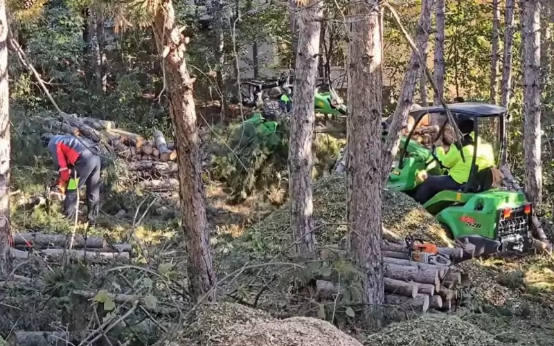Случилото се изглежда така.