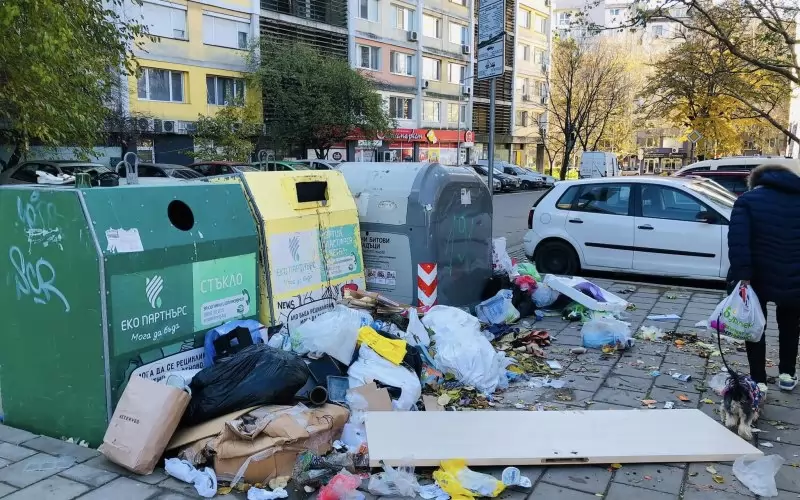 Столична община се надява организираното пролетно почистване да намали гледки като тази. 