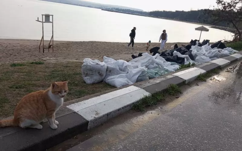 Отпадъците край Трета буна във Варна бяха събрани в чували.