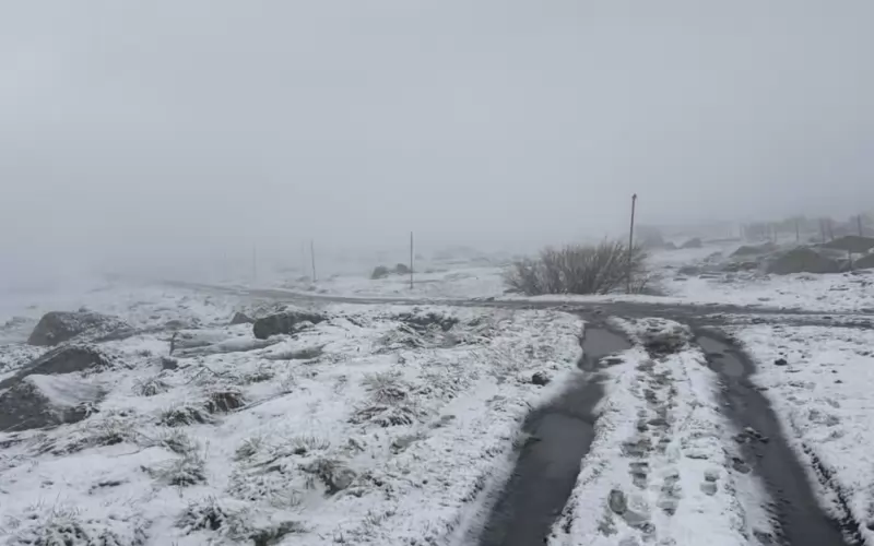 Кадри на Витоша от днес