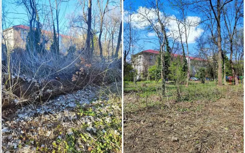 Преди и след възстановяването на парка от доброволци.