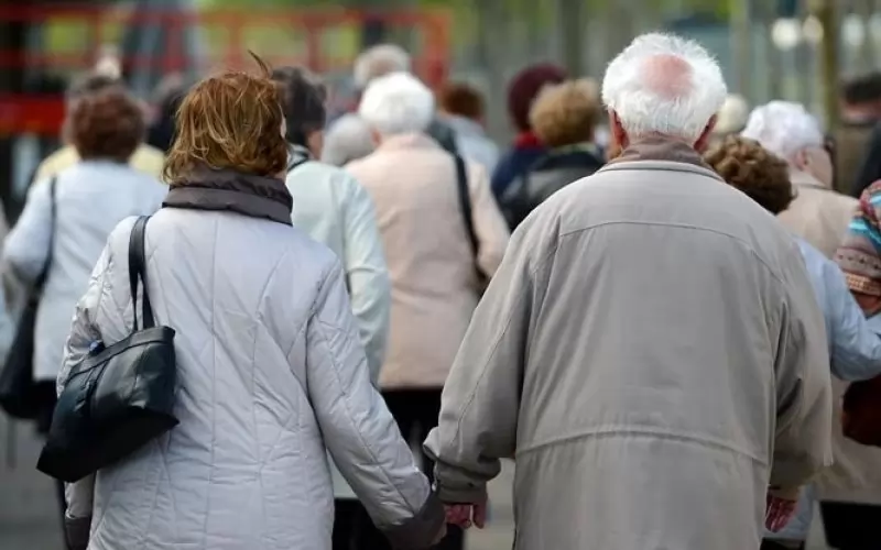 Авдокатски кантори и консултантски компании помагат на желаещите да се пренесат в България да попълнят и подадат необходимите документи.     