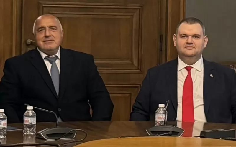 Бойко Борисов и Делян Пеевски отбелязаха с обща снимка срещата си.