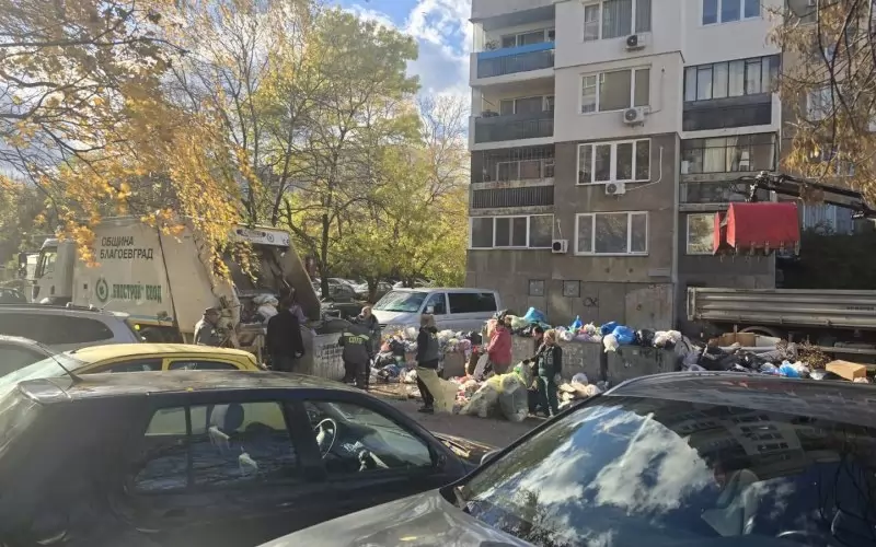 Вчера бяха разчистени критични точни по вътрешните улици в част от районите на "Люлин".