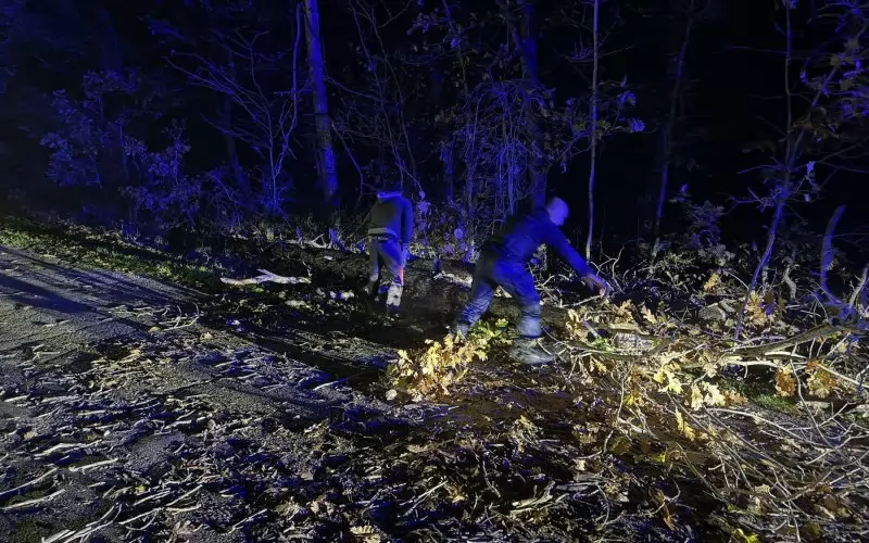Пътят между селата Ясна поляна и Ново Паничарево снощи бе временно затворен заради падналото дърво.