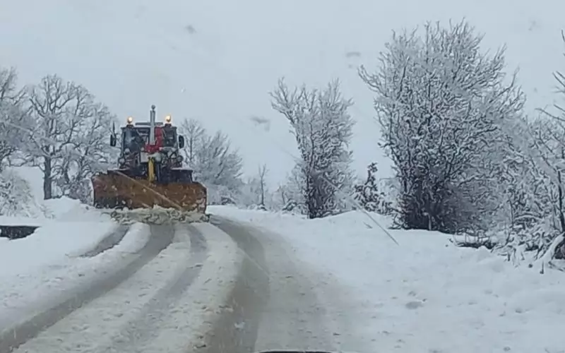 Снегорините тръгнаха във Видинско. 