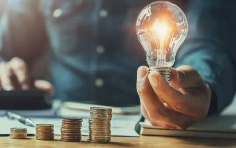 Абонатите на "ЕВН" и "Енерго Про" няма да може да плащат сметки за ток на касите на дружествата от 30 декември до 5 януари.