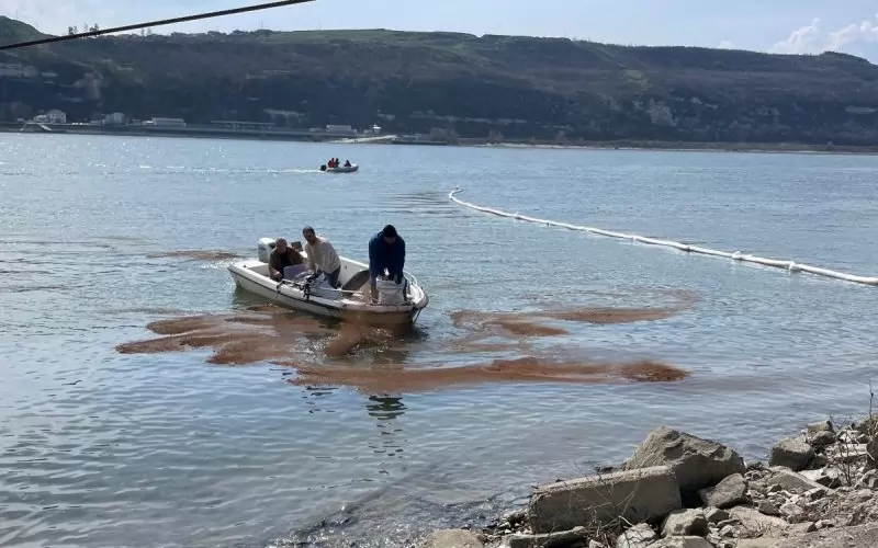 Румънските екипи влизат в реката вчера, за да противодействат на замърсяването.