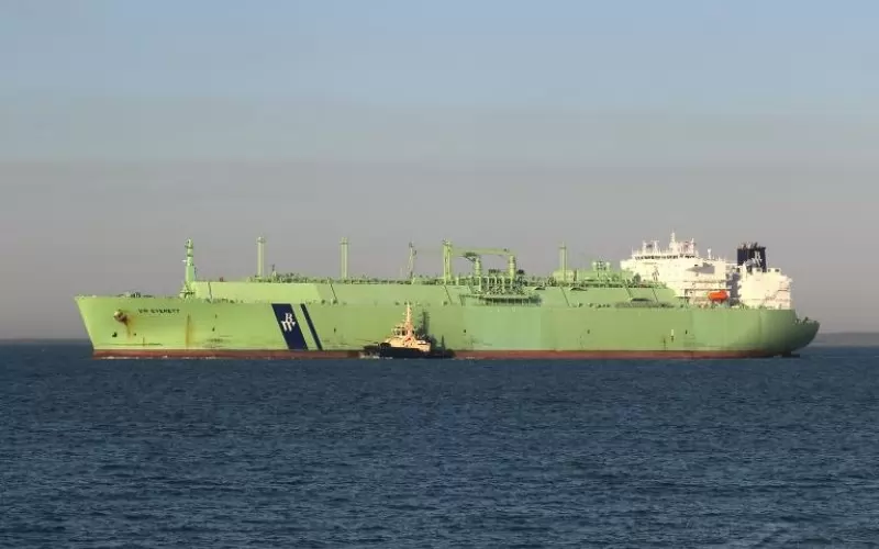 „Arctic Metagaz“ 