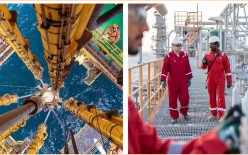 Инвестициите в нови проучвания са на фокус. 