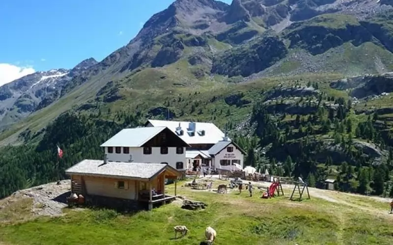 Хижата, в която ще прекарат един месец доброволците