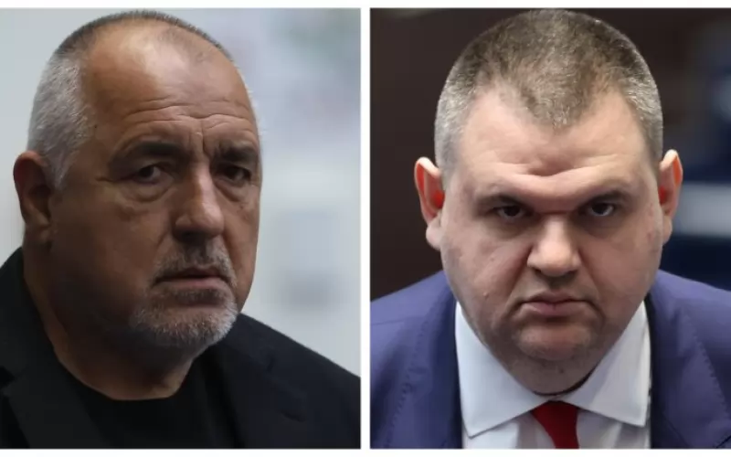 Лидерите на ГЕРБ и ДПС са охранявани от години от НСО и често и от барети