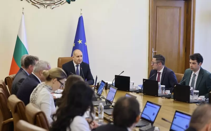 Правителството на Румен Радев най-сетне публикува управленска програма.