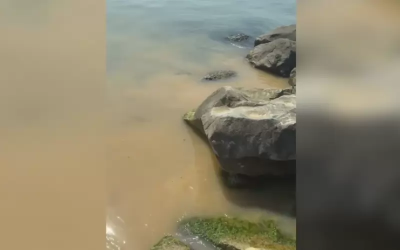 Снимка: БНТ