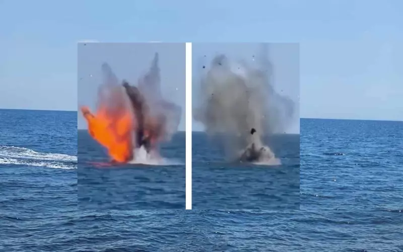 На видео се вижда как се унищожават дробовете