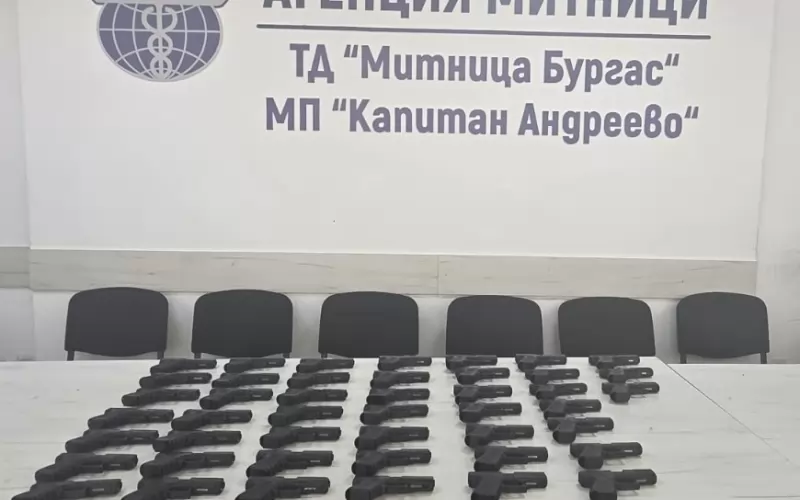 Намерените в камиона пистолети
