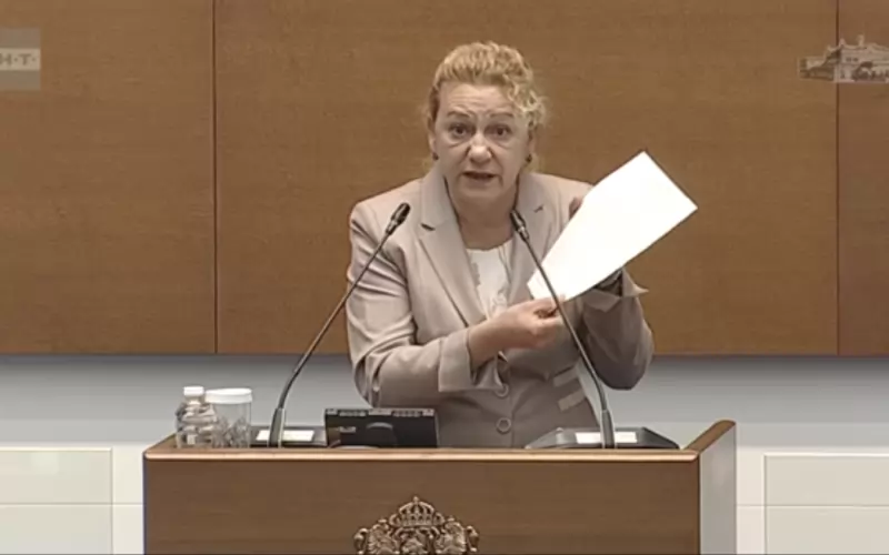 Стела Николова показва хвърчащия лист, който дообяснява какво гласуват депутатите.