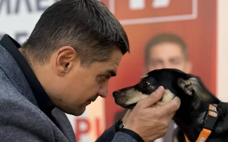 Радостин Василев, със снимка на куче по време на кампанията.