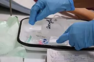 МЗ иска да внесе 200 ваксини срещу морбили и на свободния пазар