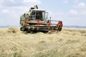 Рентите в Добруджа се сринаха до 30 лв. на декар