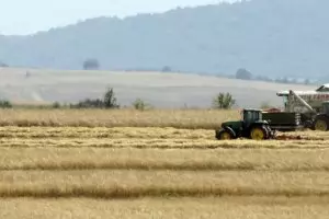 Най-скъпите ниви са в Балчик - 2600 лева за декар