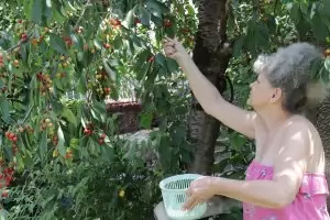 ЕК отнема от България близо 5 млн. евро агрофинансиране