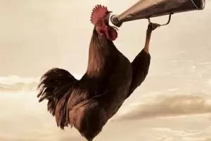 Последният кукуриг