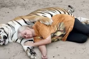 О, тигре, имаш ли офшорна любовница?