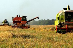 Очакваме изключително добра реколта обяви министърът на земеделието Иван Иванов