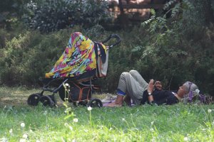 Нито един гражданин не прояви интерес към проекта за нов