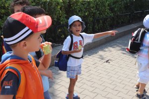 От самото си създаване европейските схеми Училищен плод и Училищно