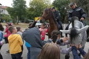 Свободата на словото пречи на МВР в борбата с порното